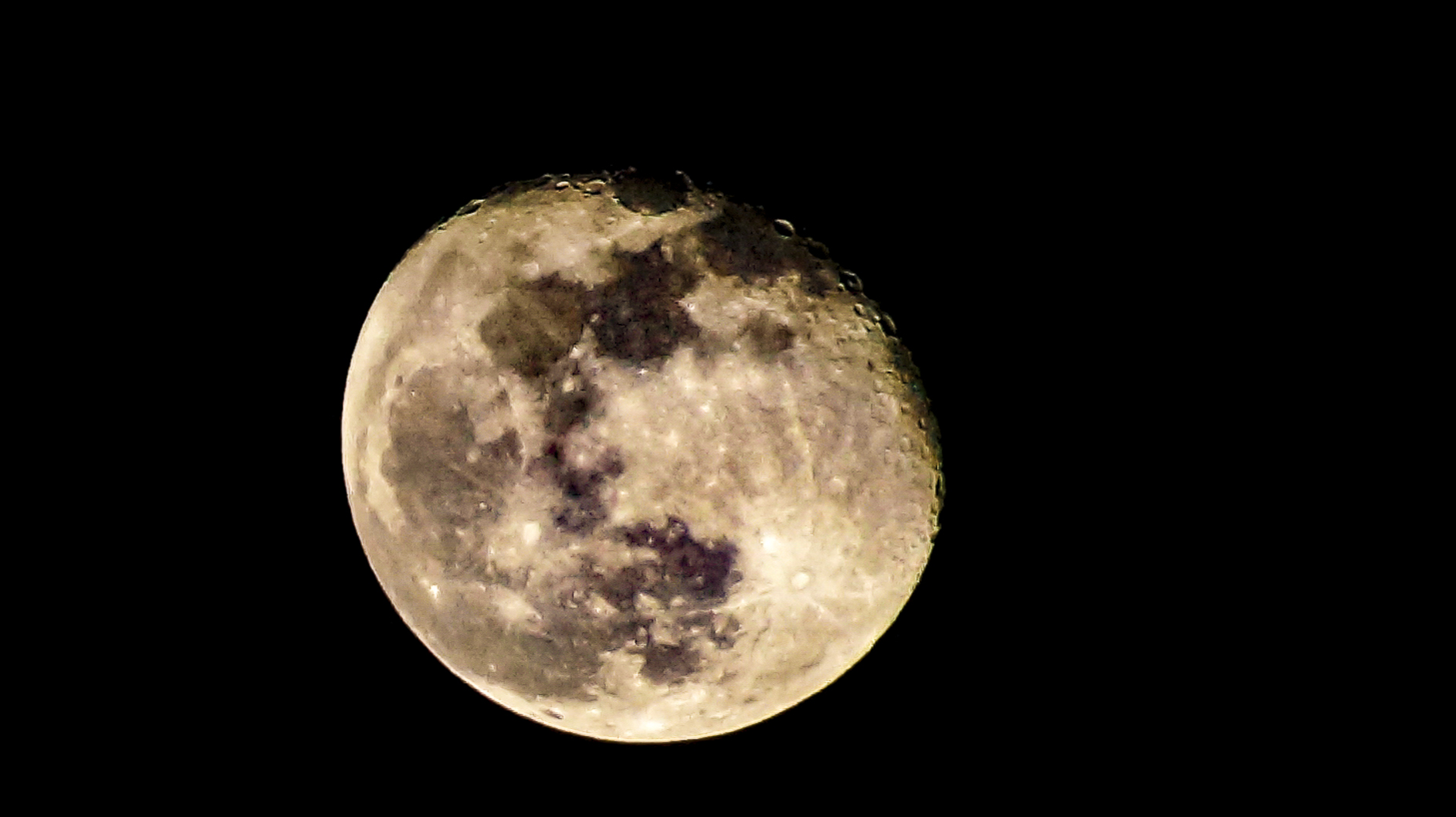 Reiner Vollmond