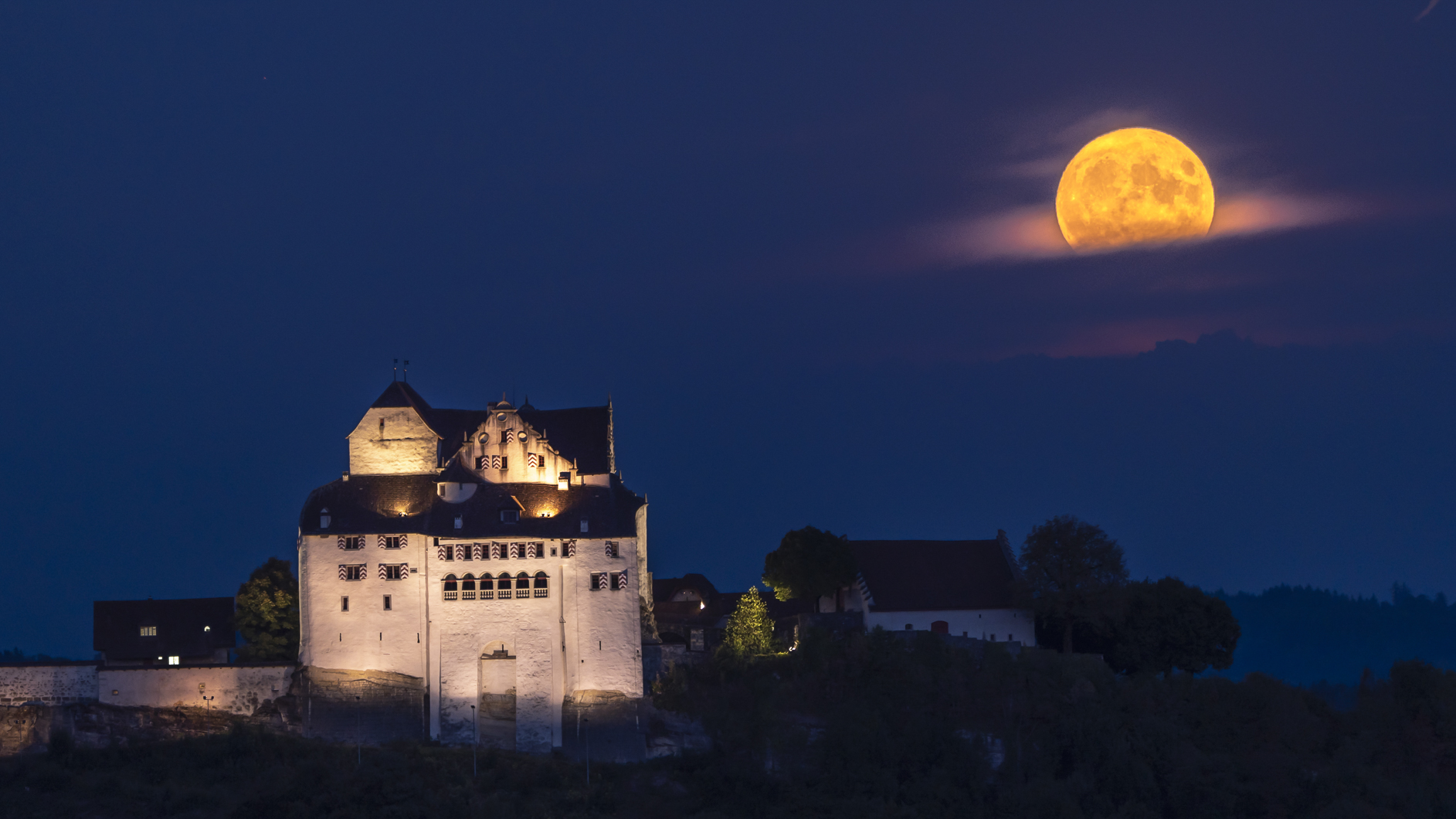 Schloss Wildegg
