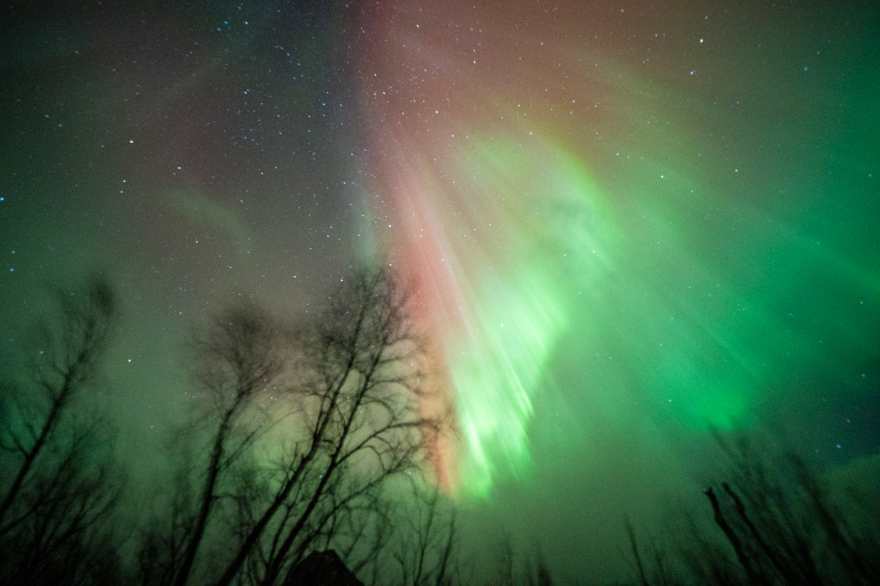 Nordlichter