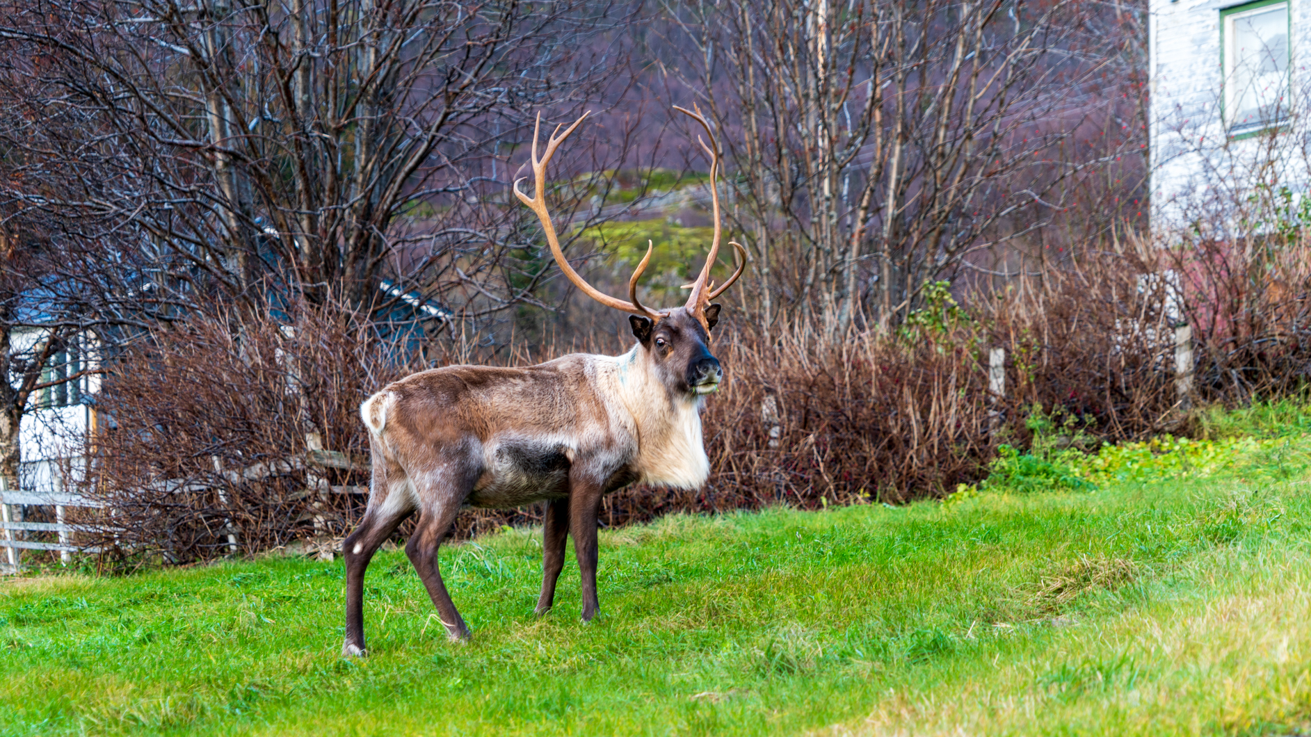 Tromso2024-086