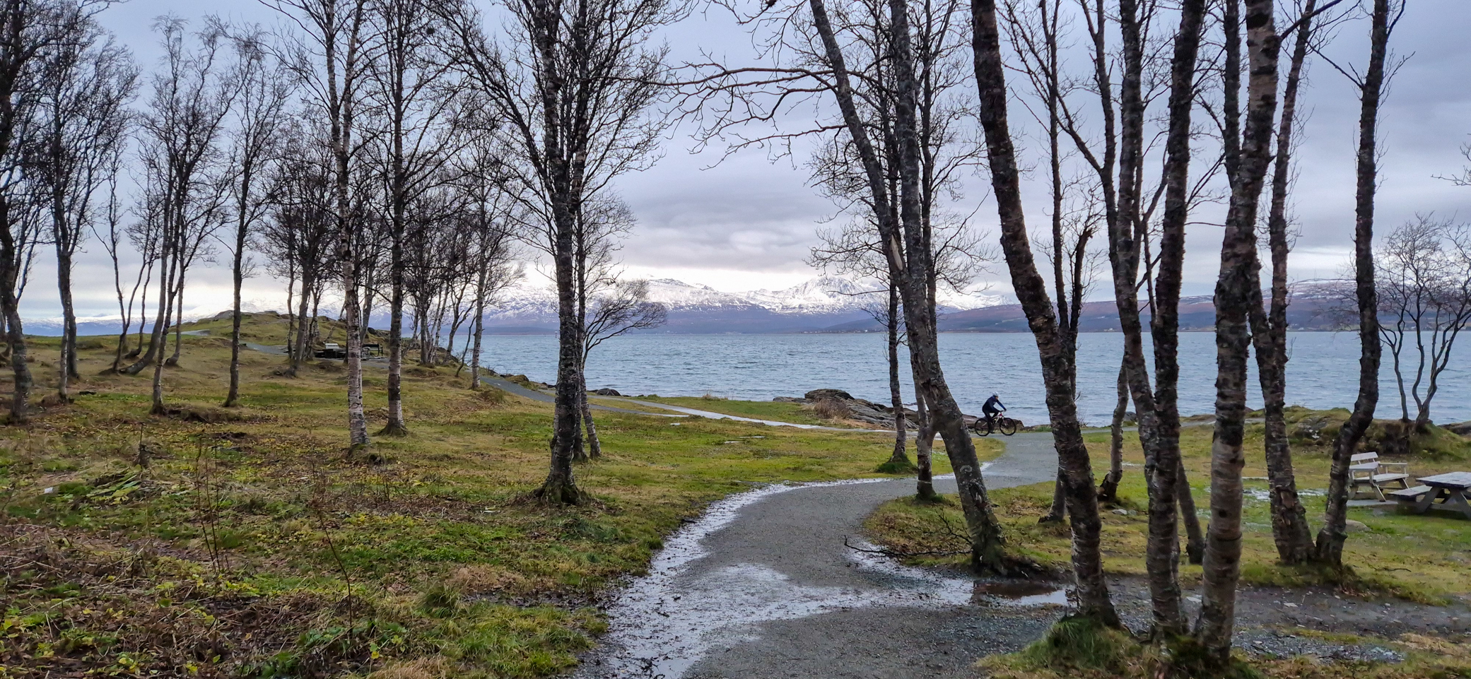 Telegrafbukta