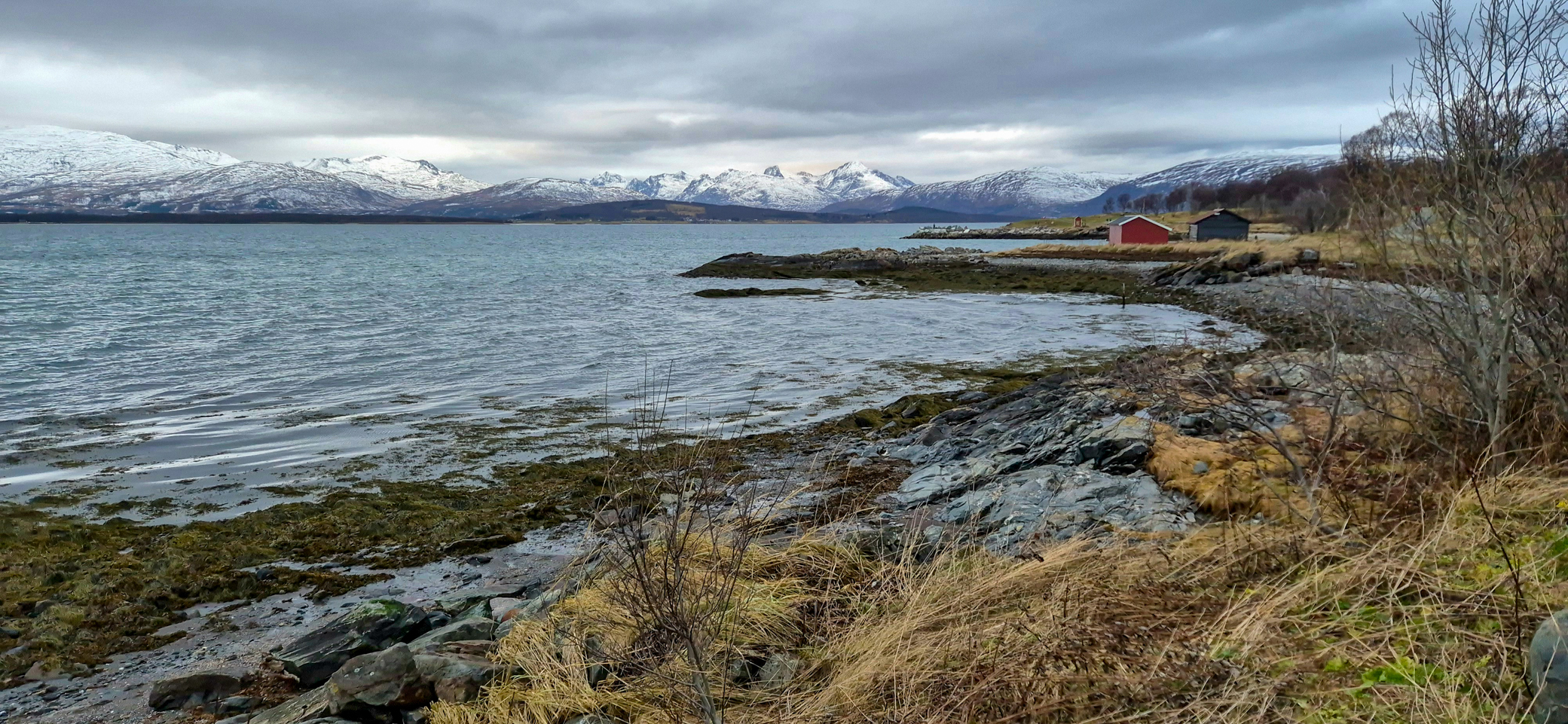 Telegrafbukta