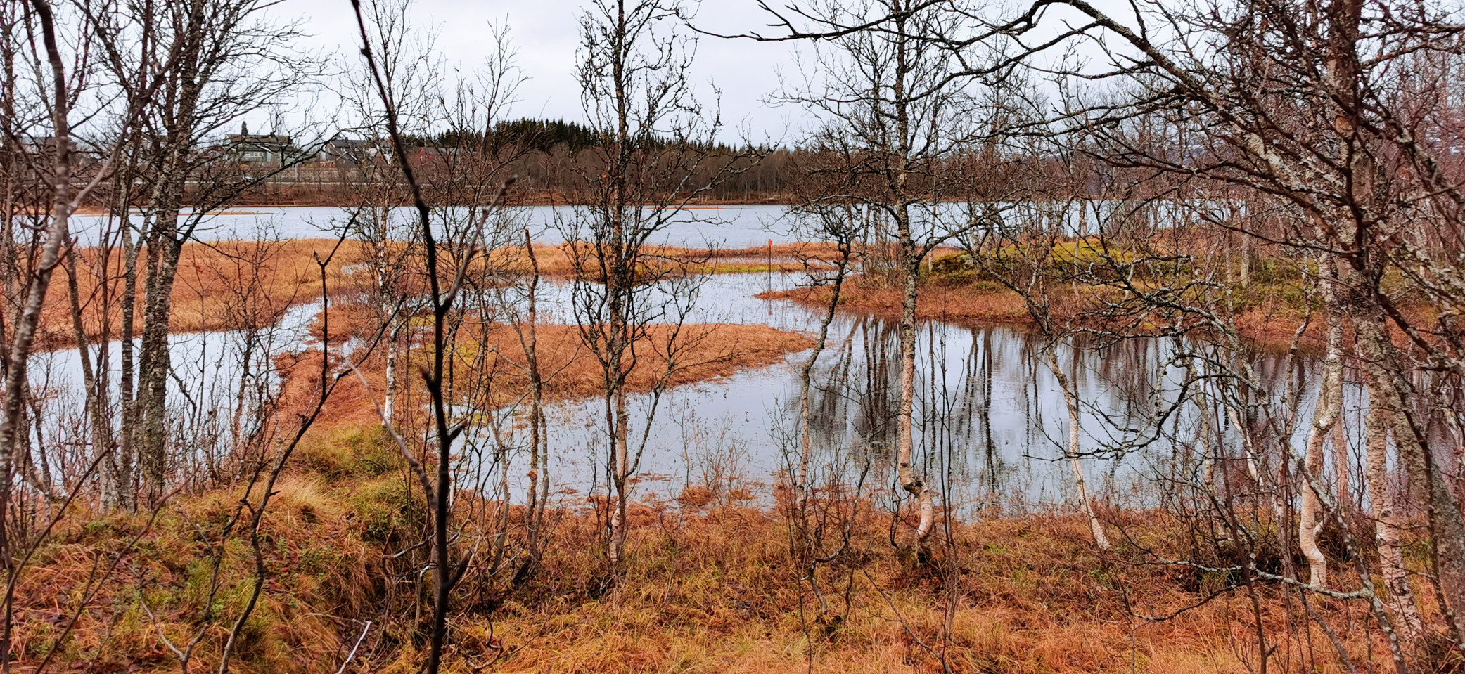 See Prestvannet