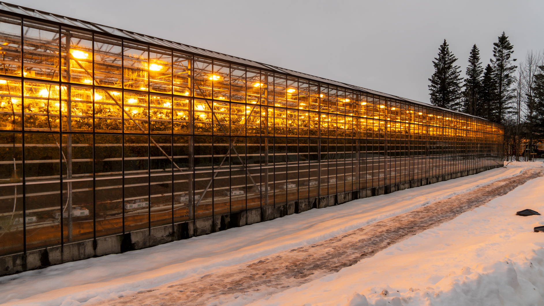 Alles beheizt mit Geothermalenergie